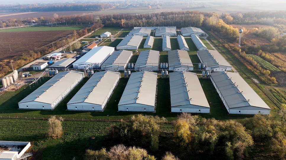 Mezőgazdasági épületek