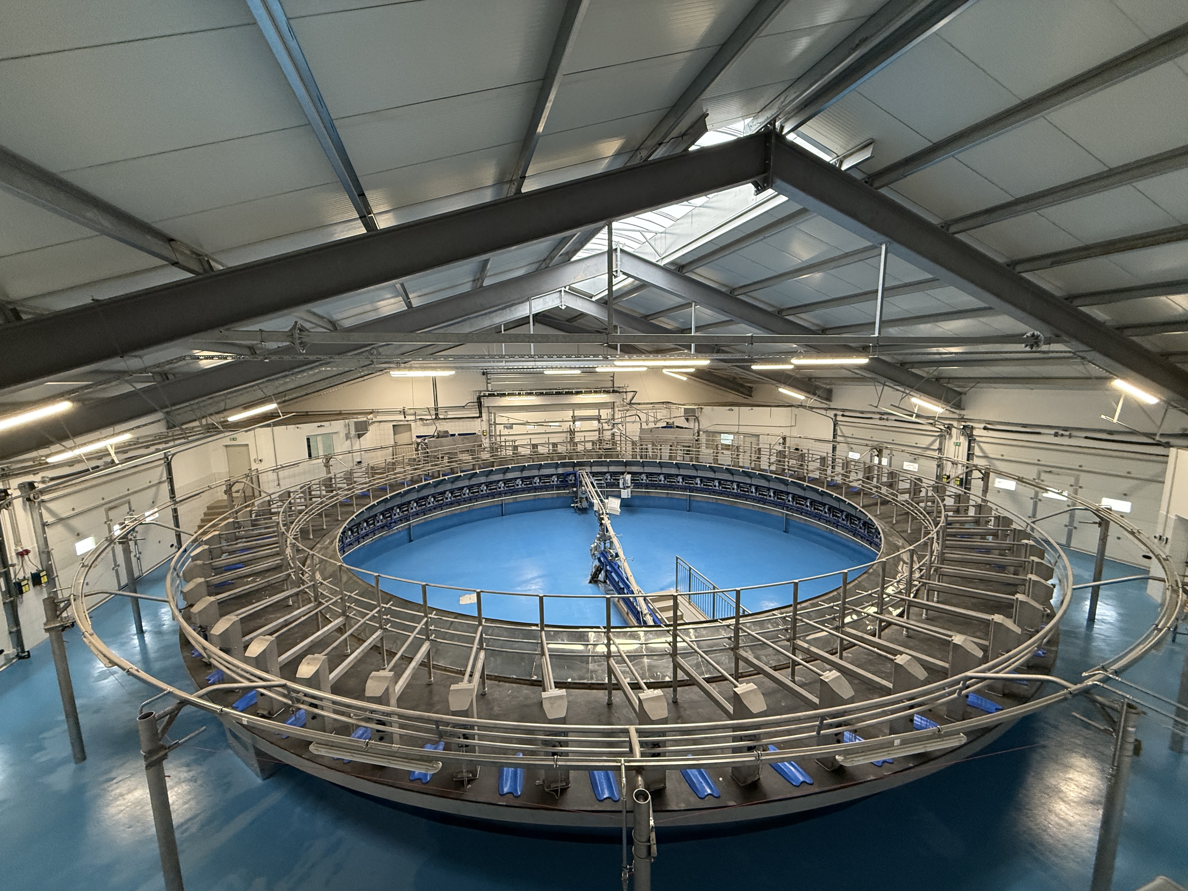 Robotizált fejőüzem Vajháton – ahol a technológia és a korszerű kivitelezés találkozik